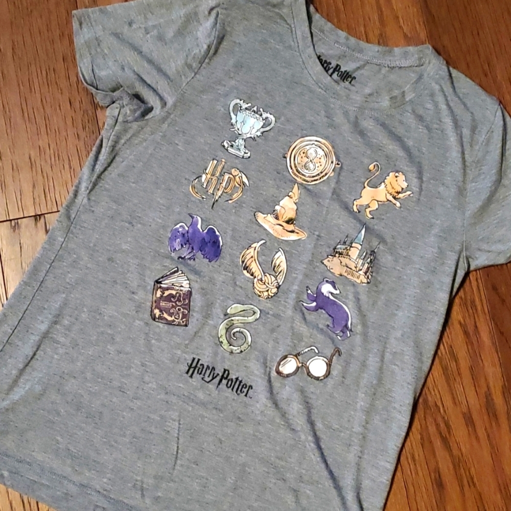 Harry Potter Hogwarts Icons T Shirt